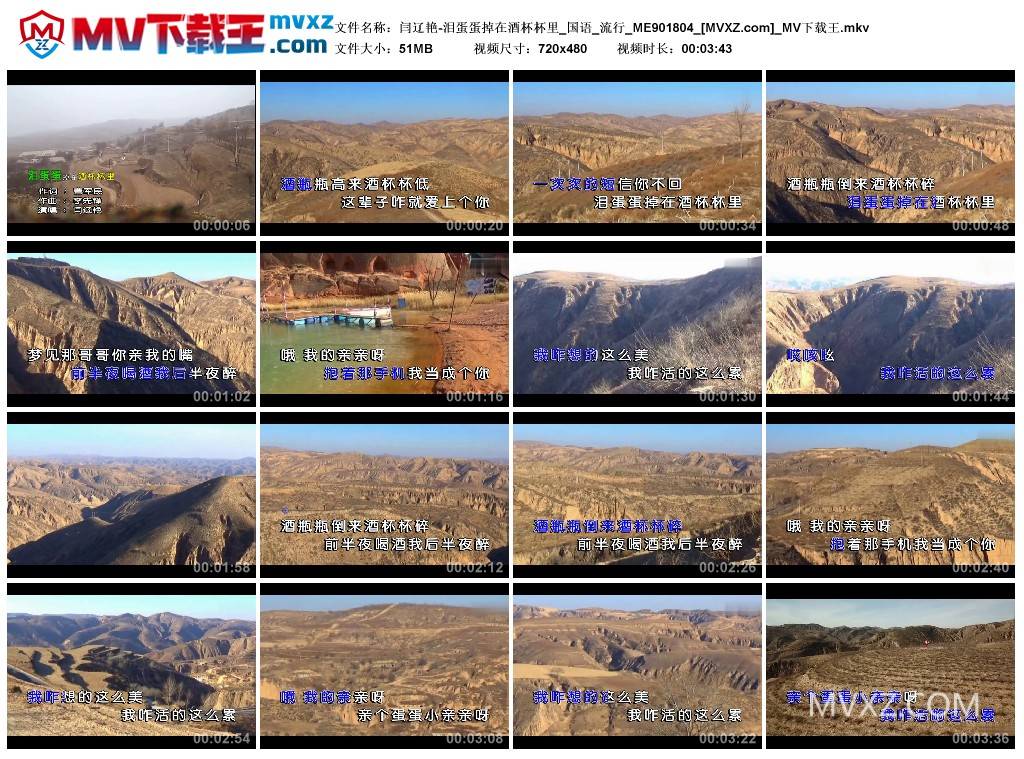 闫辽艳-泪蛋蛋掉在酒杯杯里_国语_流行_ME901804